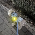 [Peanuts] 피너츠 블링커